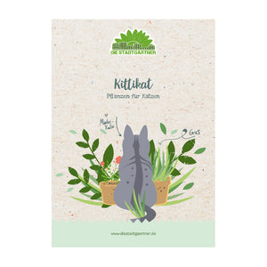 Ilustración de un gato gris dando vueltas entre plantas de interior en un folleto de "Die Stadtgärtner" titulado "Kittikat - Plantas para gatos".