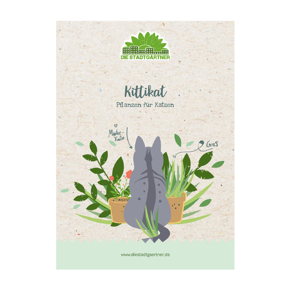 Ilustración de un gato gris dando vueltas entre plantas de interior en un folleto de "Die Stadtgärtner" titulado "Kittikat - Plantas para gatos".