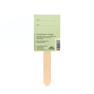 Parte posterior de un paquete de semillas de margarita verde con un palo de madera, etiquetas "de" y "para" e información del producto en alemán.
