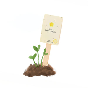 Una planta joven brota del suelo, junto a ella hay un palo de madera con el cartel "Hola sol".