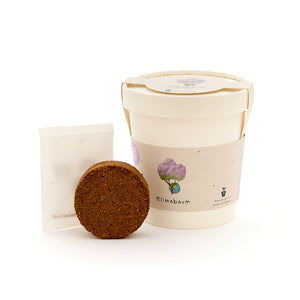 Kit de plantación con vaso de cultivo, tableta de tierra y bolsa de semillas para un árbol de clima.