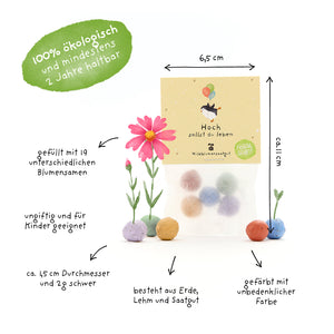 Envase que contiene bolitas de semillas de colores hechas de tierra, arcilla y semillas, rodeadas de etiquetas que indican tamaño, materiales y propiedades; 100% ecológico, no tóxico y relleno con 19 semillas de flores diferentes.