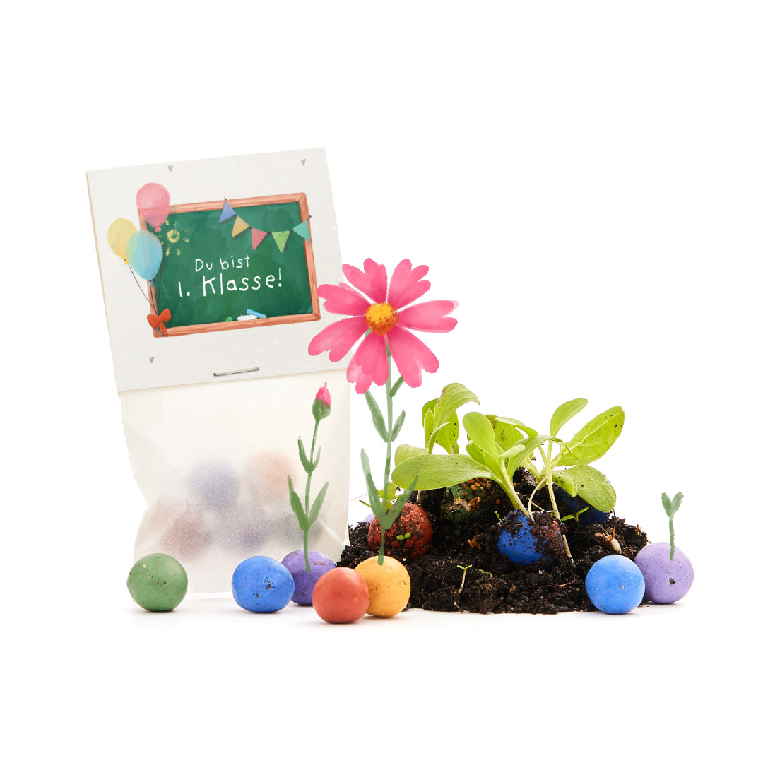 5 canicas de flores en una bolsa para el primer día de clases "Eres de 1er grado"