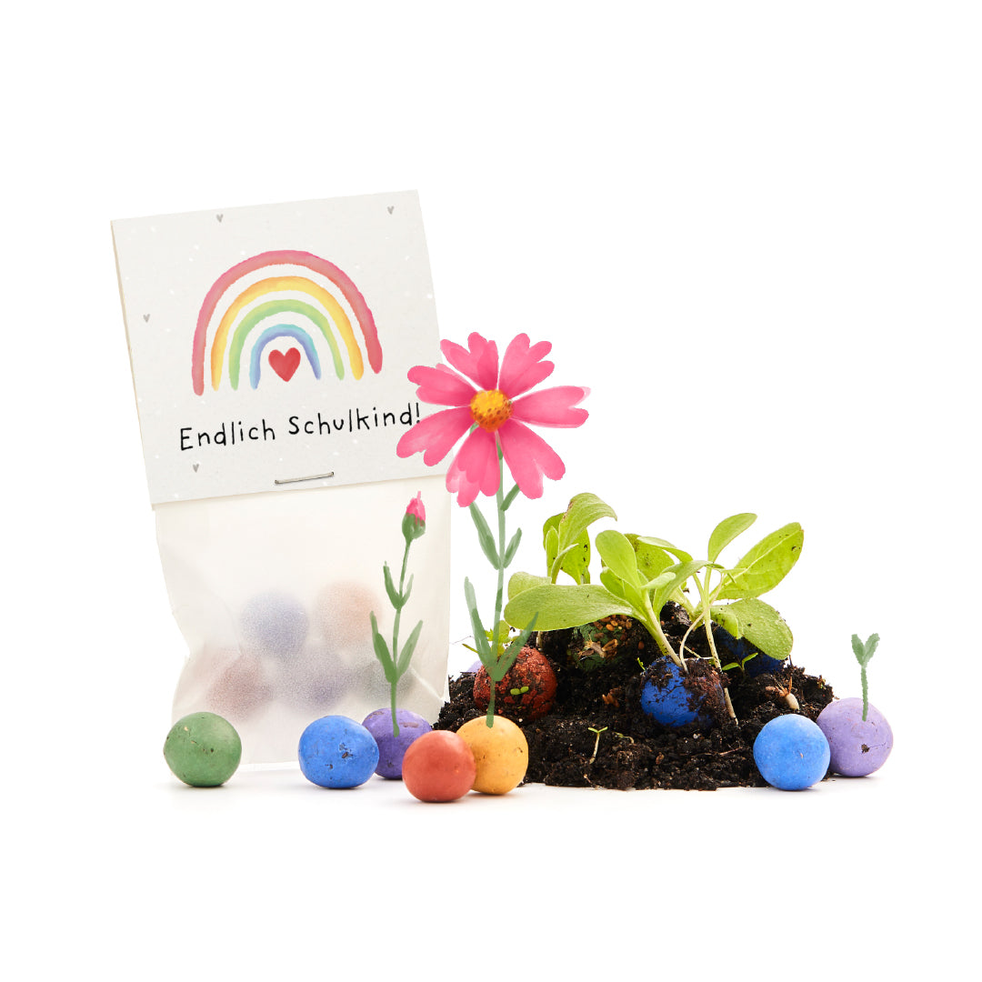 5 canicas de flores en una bolsa para el primer día de colegio. "¡Por fin un escolar!"