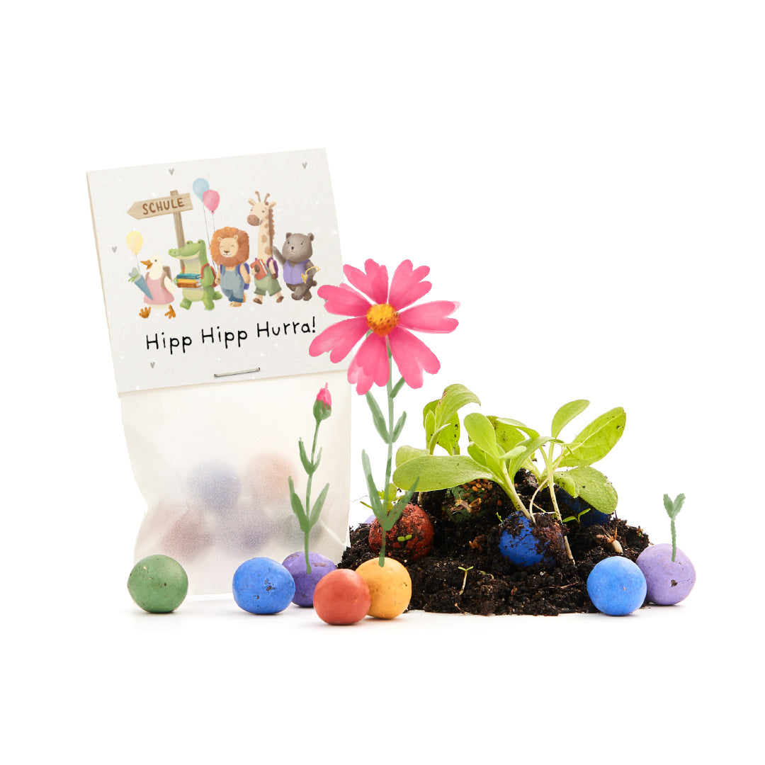 5 canicas de flores en una bolsa para la inscripción escolar "¡Hipp Hipp Hurra!"