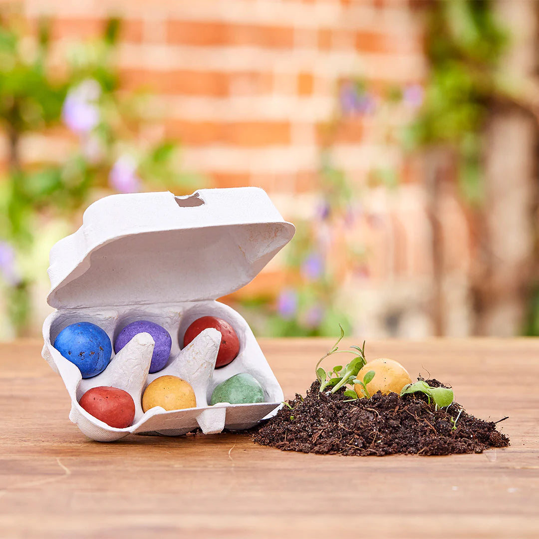 6 canicas de flores coloridas en caja de huevos - Flores poderosas