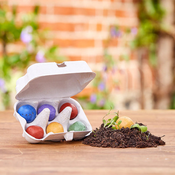 6 canicas de flores coloridas en caja de huevos - Tesoro floral