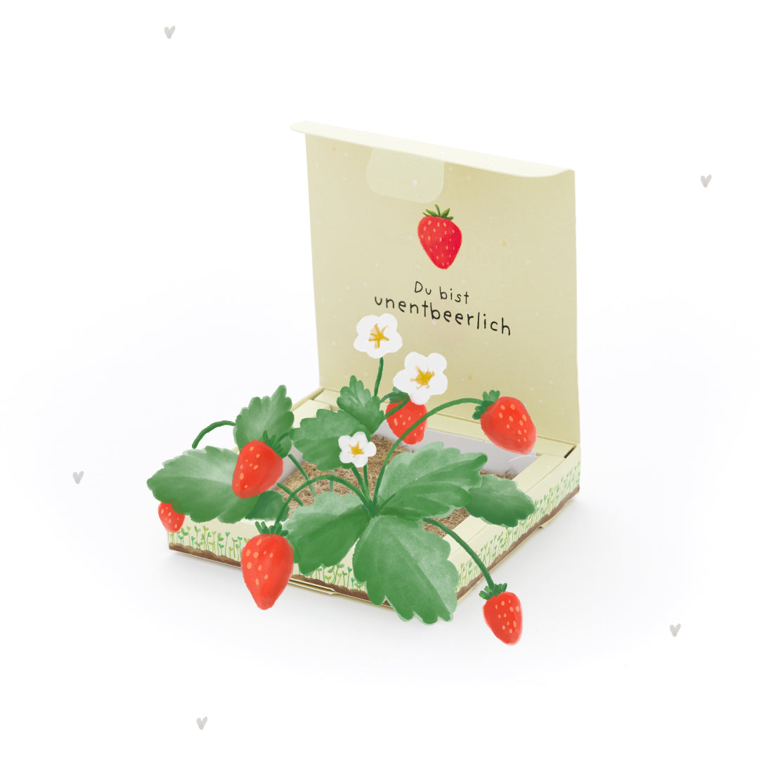 Jardinera - Indispensable