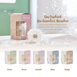 Cinco cajas de regalo con dientes de león en varios colores (verde, rosa, morado, azul, beige) como decorativos cumplidores de deseos, presentadas sobre una mesa, junto al texto "El regalo para personas especiales".