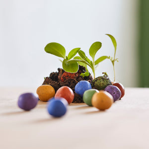Varias bombas de semillas de colores y pequeñas plantas verdes sobre un fondo claro.