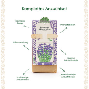 Kit completo para cultivar lavanda con instrucciones de plantación, palitos de plantación, semillas orgánicas, tierra para macetas de alta calidad, papel sin madera y bolsa de cultivo sin aluminio.