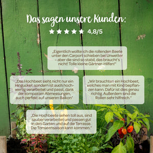 Reseñas de clientes de camas elevadas frente a una pared de madera verde, que incluyen plantas y tomates, con una calificación de 4,8 sobre 5 estrellas.