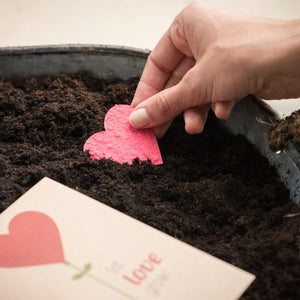 Una mano planta un corazón de papel rojo en tierra oscura, junto a él hay una tarjeta con un motivo de corazón.
