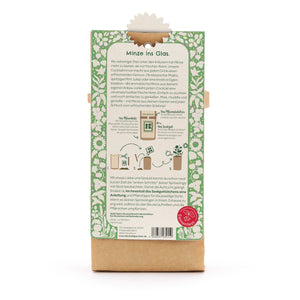 Parte posterior de un paquete con instrucciones para cultivar menta en un frasco de vidrio, rodeado de un patrón floral verde y blanco.