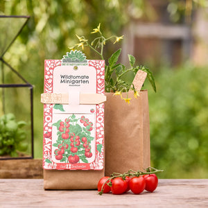 Kit de cultivo de tomates silvestres en una bolsa de papel marrón con una planta de tomate y tomates cóctel maduros en una mesa de madera en el jardín.