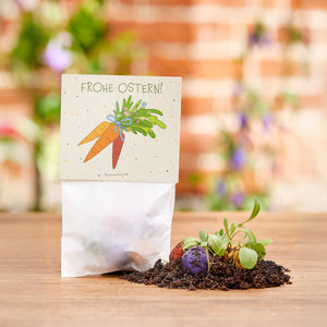 Regalo de Pascua con una tarjeta de "¡Felices Pascuas!", al lado tierra con pequeñas plantas y bolas de semillas de colores sobre una mesa de madera.