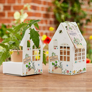 Dos paquetes pequeños con forma de casa etiquetados como "El dulce jardín de Finn", uno de ellos contiene una planta en maceta, con flores borrosas y una pared de ladrillos en el fondo.