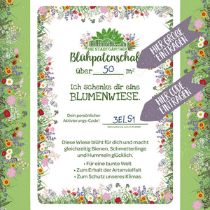 Certificado de patrocinio floral con motivo de prado de flores, texto para un prado de flores de más de 50 metros cuadrados, campos de código de activación personalizados, marcos coloridos con flores y flechas que indican "Ingrese el tamaño aquí" e "Ingrese el código aquí".