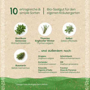 Gráfico que muestra diez hierbas fáciles y productivas cultivadas a partir de semillas orgánicas, entre ellas albahaca, tomillo, salvia y romero, además de otras hierbas enumeradas como orégano, cilantro y cebollino.