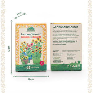 Dos juegos de semillas de girasol con diseño de color amarillo anaranjado, anverso con ilustraciones de girasoles, reverso con descripción y lista de variedades; dimensiones 12 cm de alto, 8 cm de ancho, 3 cm de fondo.