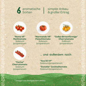Seis variedades de tomates aromáticos (Roma VF, Marmande VR, Amarillo en forma de pera, Cerise, Ace 55 VF, Sweetie) con imágenes y nombres en alemán, adecuadas para un cultivo fácil y un alto rendimiento.