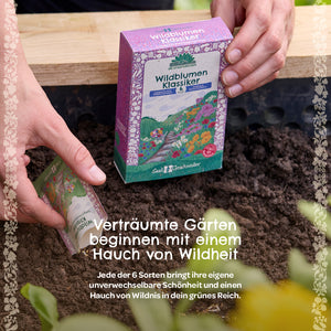 Una persona sostiene un colorido paquete de semillas "Wildflower Classics" sobre tierra fresca en un jardín; el texto describe las semillas de flores silvestres, enfatizando el carácter salvaje de los jardines de ensueño.