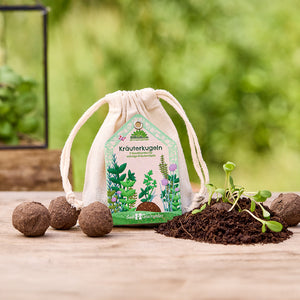 Bolsas de tela etiquetadas como "Bolas de hierbas" y que presentan ilustraciones de hierbas, rodeadas de bombas de semillas y brotes de plantas jóvenes sobre una mesa de madera.