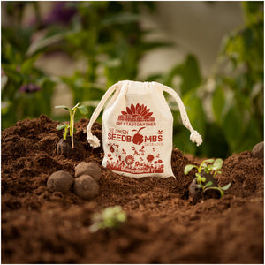 Una bolsa etiquetada "Bombas de semillas de flores" en tierra fértil junto a plántulas y bombas de semillas.