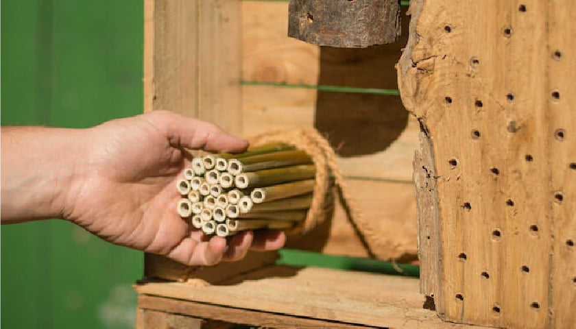 Hotel para insectos hecho con cajas de fruta