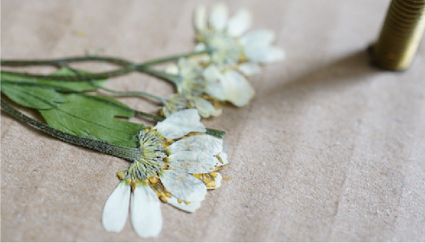 5 Ideen zum Basteln mit gepressten Blumen