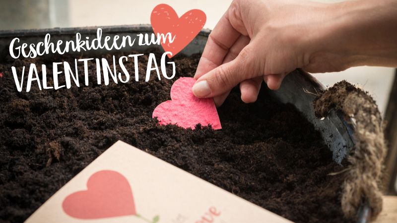 Geschenkideen zum Valentinstag: Schöne Alternativen zu Blumen & Co.