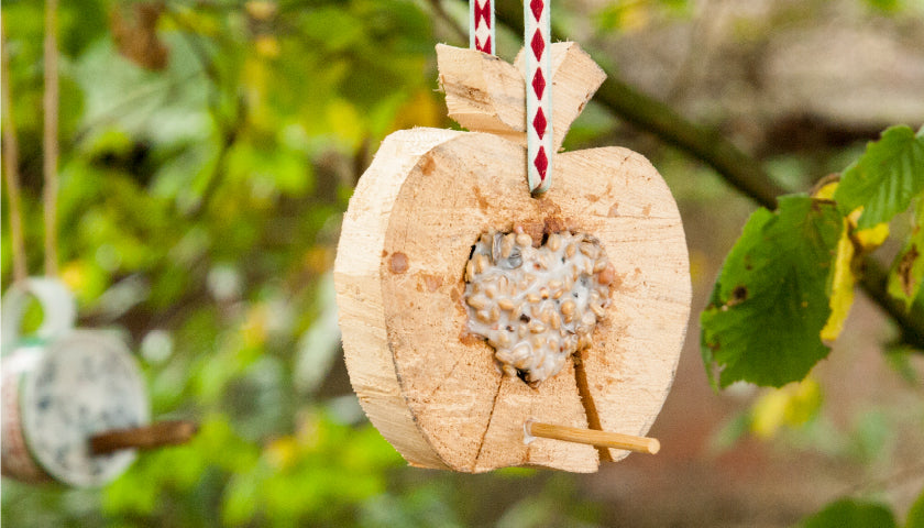 DiY: Meisenobst im Holzapfel
