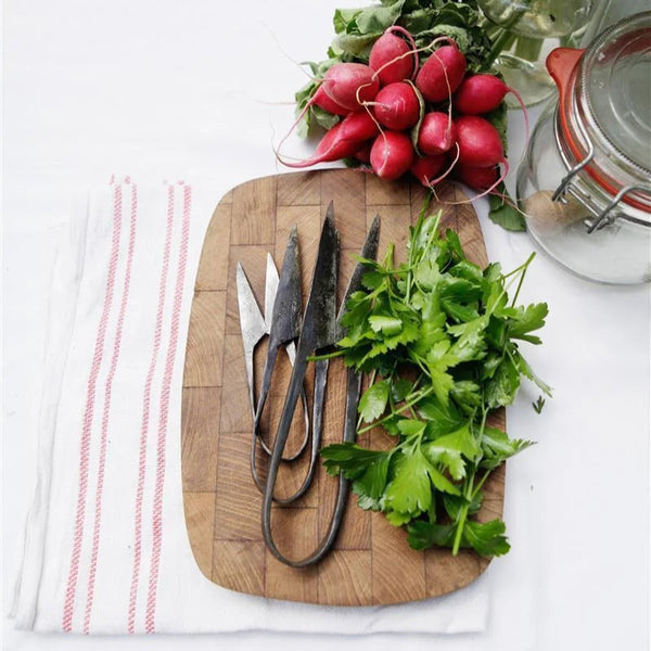 Tijeras de cocina y hierbas hechas a mano
