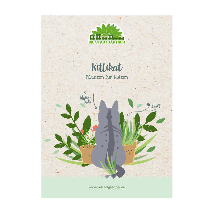 Ilustración de un gato gris dando vueltas entre plantas de interior en un folleto de "Die Stadtgärtner" titulado "Kittikat - Plantas para gatos".