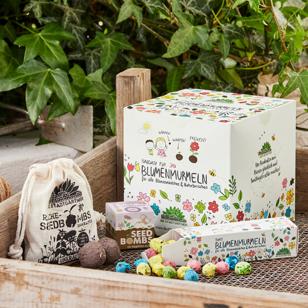 Varios empaques y canicas de flores de colores (bombas de semillas) en una caja de madera, rodeadas de hojas verdes y plantas.