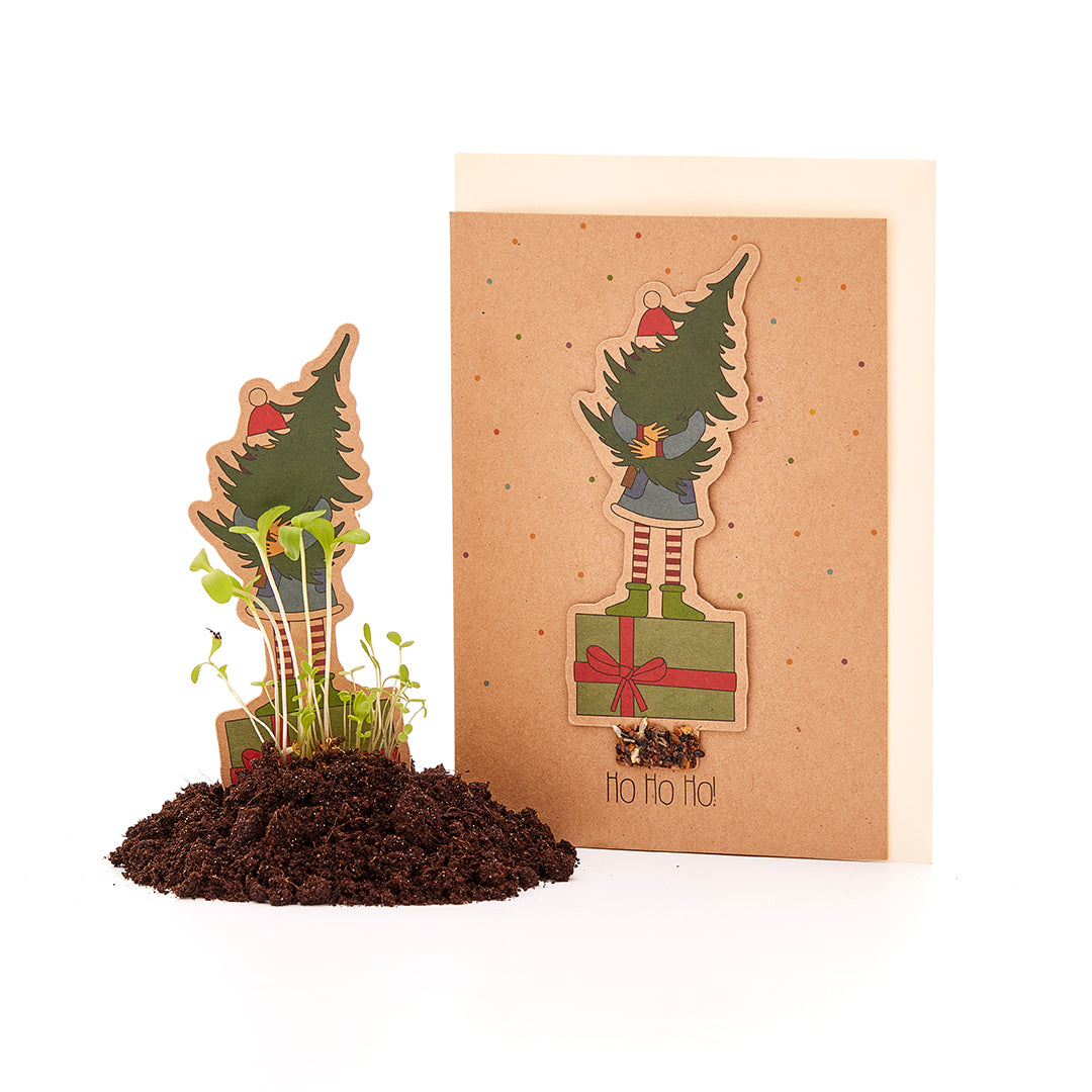 Tarjeta con motivo navideño y semillas