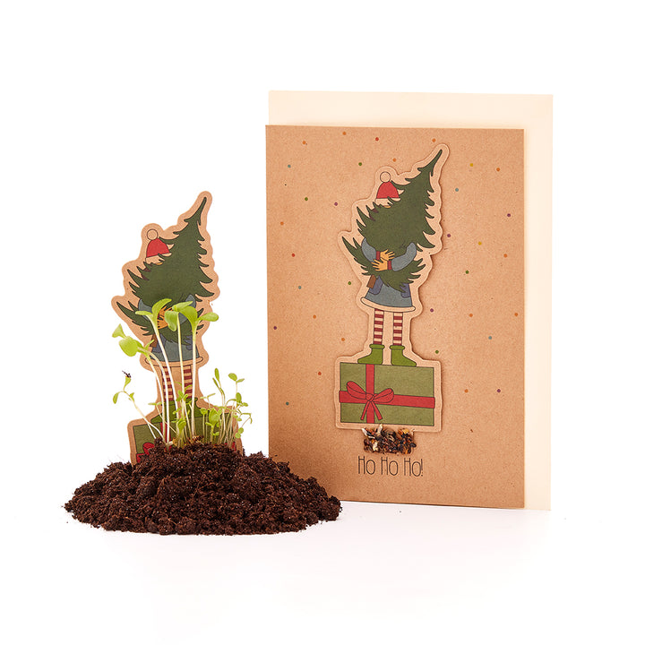 Tarjeta con motivo navideño y semillas