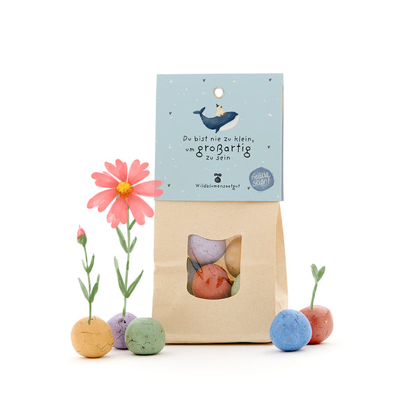 Bolsa de papel con bolas de semillas de colores, algunas con flores creciendo de ellas, y una tarjeta con una ballena y el texto: "Nunca eres demasiado pequeño para ser grande".