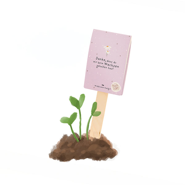 Una pequeña planta verde crece en la tierra junto a un palo de madera con un cartel morado que dice: "Gracias por ayudarme a crecer".
