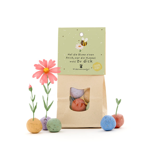 Bolsa de papel con bombas de semillas de colores y la inscripción “Si la flor está doblada, el abejorro probablemente estaba demasiado gordo”, junto a ella flores floreciendo de las bombas de semillas.