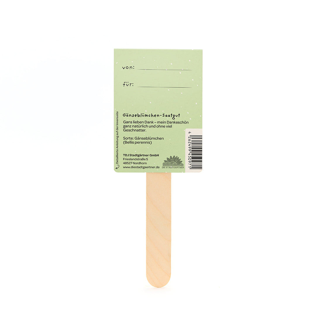 Parte posterior de un paquete de semillas de margarita verde con un palo de madera, etiquetas "de" y "para" e información del producto en alemán.