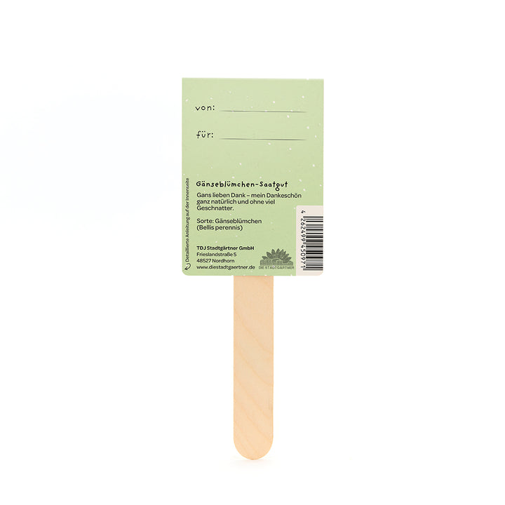 Parte posterior de un paquete de semillas de margarita verde con un palo de madera, etiquetas "de" y "para" e información del producto en alemán.