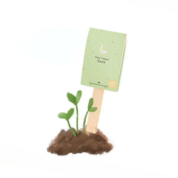Ilustración de plantas jóvenes brotando de la tierra, junto a un palo de madera con un cartel verde que dice "Muchas gracias" y un dibujo de un ganso.