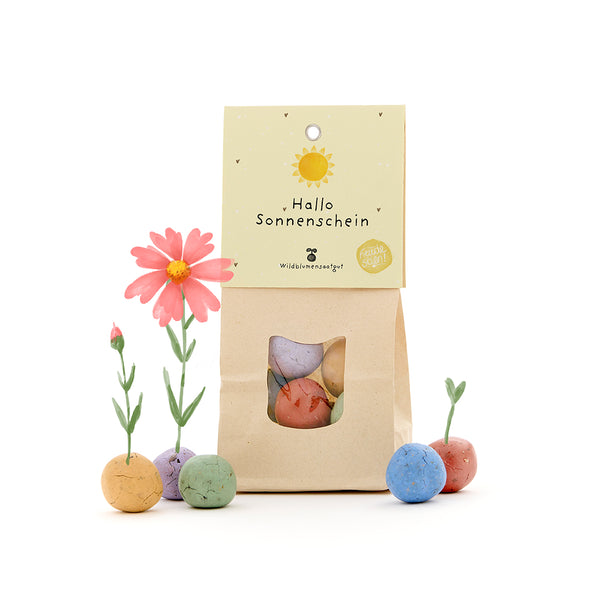 Bolsa de papel con la inscripción “Hola sol” y bombas de semillas de colores que crecen de las flores.