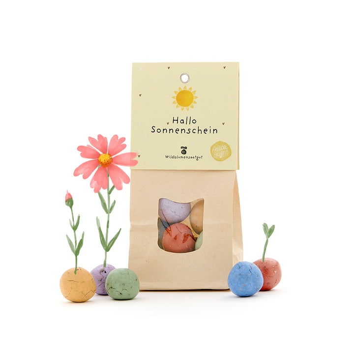 Bolsa de papel con la inscripción “Hola sol” y bombas de semillas de colores que crecen de las flores.