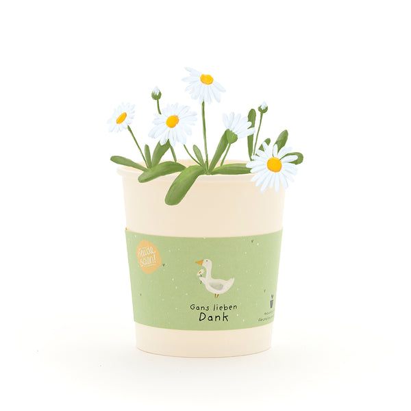 Una maceta de color crema con margaritas blancas y una etiqueta verde, con el dibujo de un ganso y el texto "Muchas gracias, ganso".