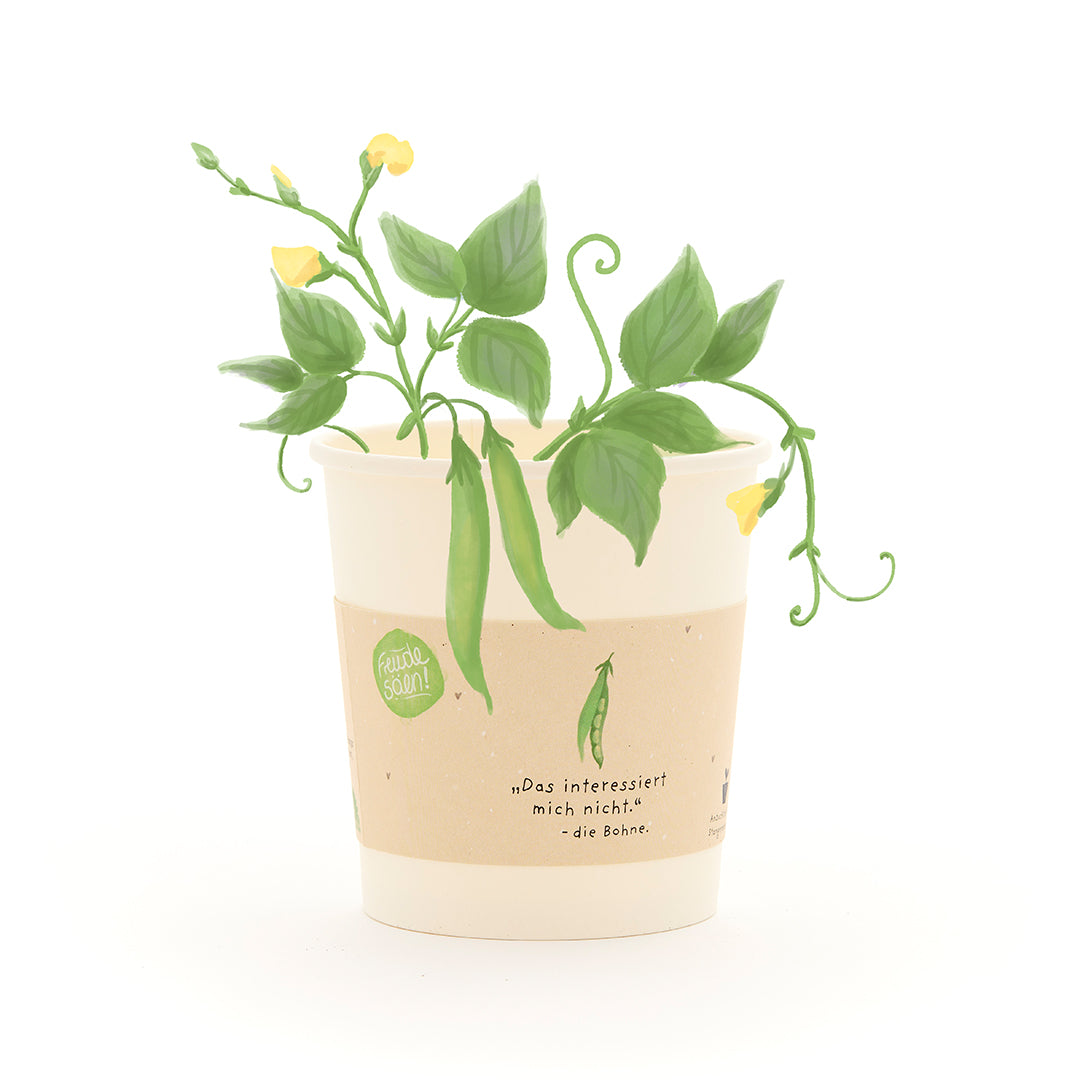Un vaso de papel con una planta de judías verdes en crecimiento y flores amarillas, con un dicho sobre judías en el vaso.