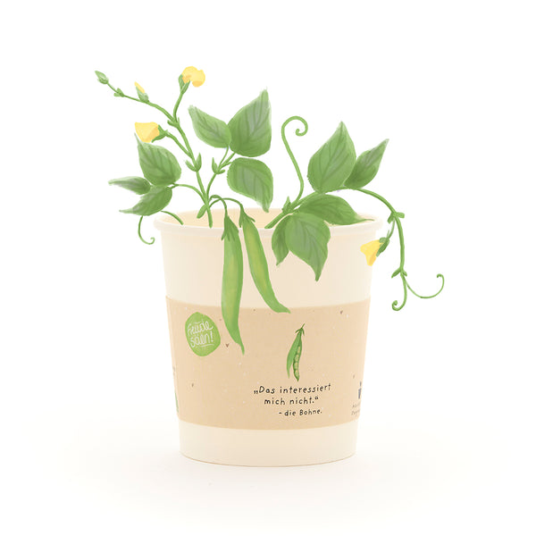 Un vaso de papel con una planta de judías verdes en crecimiento y flores amarillas, con un dicho sobre judías en el vaso.