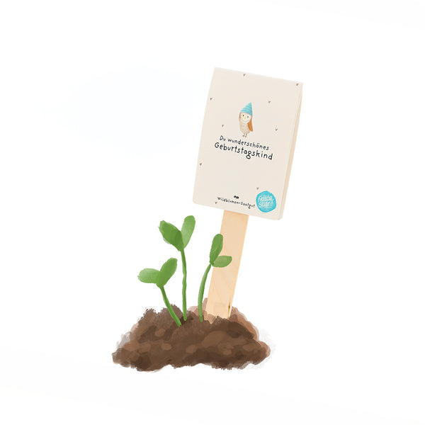 Un cartel de madera que dice "Eres una hermosa cumpleañera" está pegado en el suelo junto a pequeñas plantas verdes.