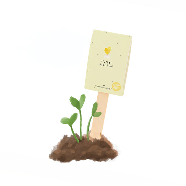 Ilustración de pequeñas plantas verdes que brotan del suelo, junto a un cartel que dice "¡Hurra, estás aquí!" y un pollito amarillo.